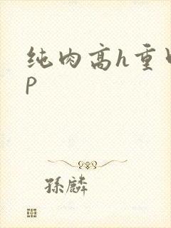 纯肉高h重口np