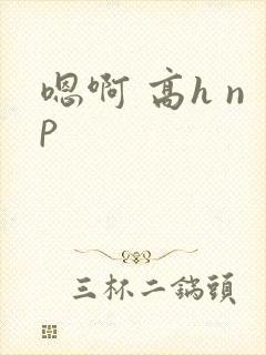 嗯啊 高h np