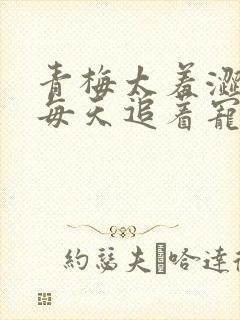 青梅太羞涩竹马每天追着宠小说最新