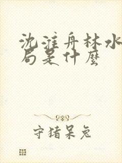 沈淮舟林水伊结局是什么