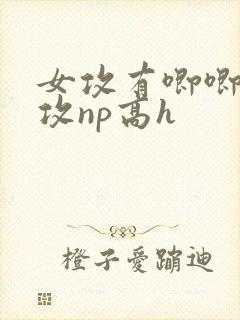 女攻有唧唧的女攻np高h