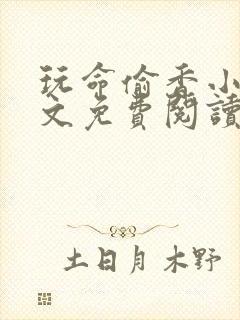 玩命偷香小说全文免费阅读无弹窗封面