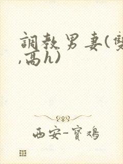 调教男妻(双性,高h)