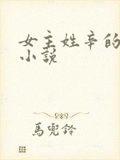 女主姓辛的现代小说