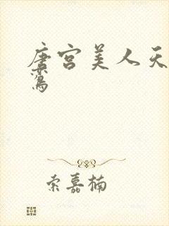 唐宫美人天下青鸾封面