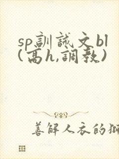 sp训诫文bl(高h,调教)