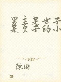 男主是世子其实是皇子的小说