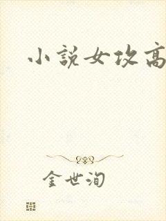 小说女攻高h