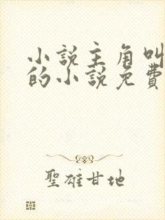 小说主角叫叶诚的小说免费阅读封面