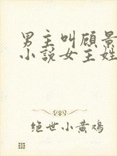 男主叫顾景琛的小说女主姓叶