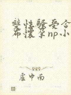 双性骚受合集抹布怀孕np小说封面