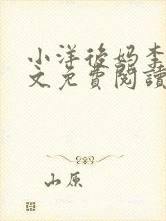 小洋后妈李韵全文免费阅读小说