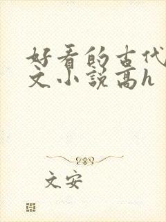 好看的古代调教文小说高h封面
