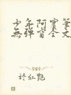 少年阿宾笔趣阁无弹窗全文免费阅读