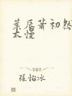 叶辰萧初然更新太慢