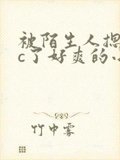 被陌生人摁着强c了好爽的小说