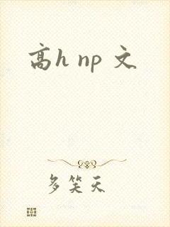 高h np 文