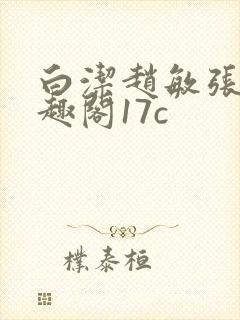 白洁赵敏张倩笔趣阁17c