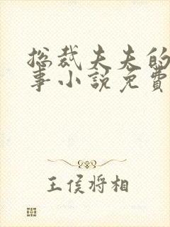 总裁夫夫的二三事小说免费阅读