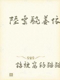 陆云骁姜依小说封面