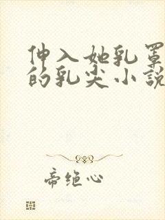 伸入她乳罩揉她的乳尖小说