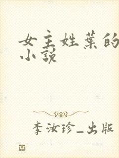 女主姓叶的穿越小说封面