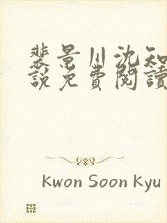 裴景川沈知意小说免费阅读最新章节