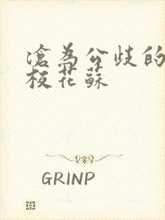 沧为公歧的清纯校花苏