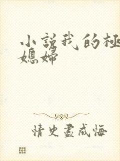 小说我的极品儿媳妇