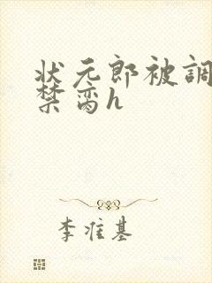 状元郎被调教成禁脔h