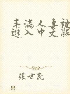 丰满人妻被猛烈进入中文版封面