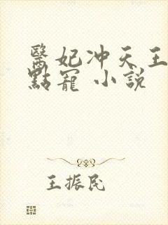 医妃冲天王爷轻点宠 小说