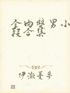 全肉双男小说片段合集