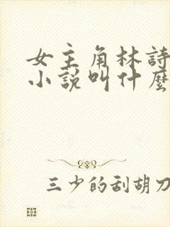 女主角林诗诗的小说叫什么名字