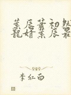 叶辰萧初然上门龙婿叶辰最新