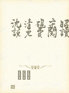 沈清砚宋昭汐小说免费阅读最新章节