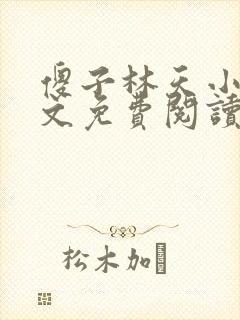 傻子林天小说全文免费阅读完整版