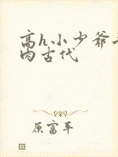 高h小少爷受荡肉古代