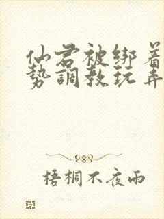 仙君被绑着用玉势调教玩弄