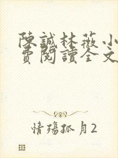 陈诚林薇小说免费阅读全文最新章节封面