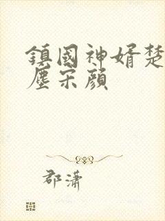 镇国神婿楚尘楚尘宋颜