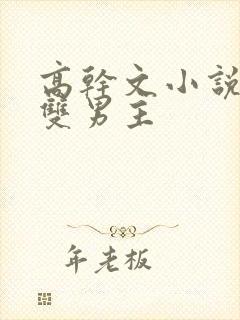 高干文小说推荐双男主