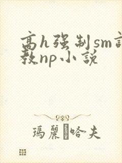 高h强制sm调教np小说封面