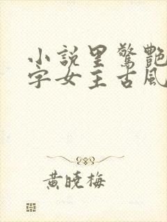 小说里惊艳的名字女主古风封面