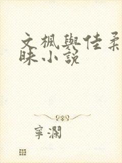文枫与佳柔的暧昧小说封面