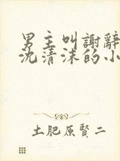 男主叫谢辞女主沈清沫的小说