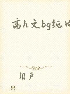 高h文bg纯肉