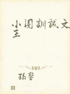 小圈训诫文双男主