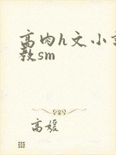 高肉h文小说调教sm