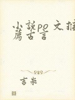 小说po 文推荐古言